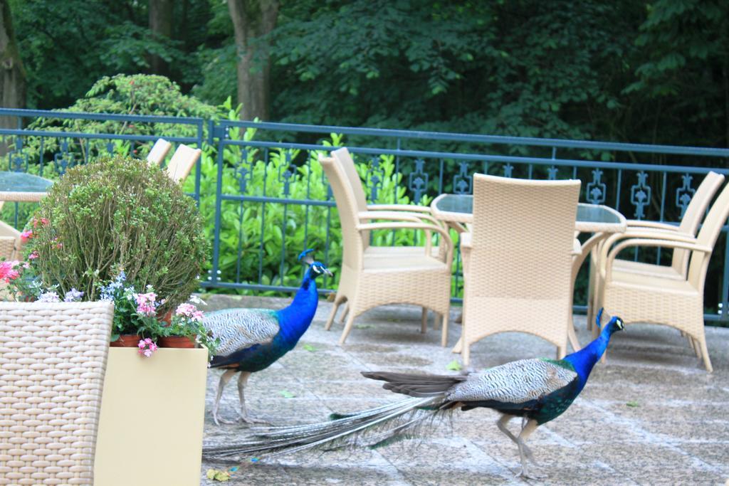 Akzent Hotel Hoxberg Beckum Dış mekan fotoğraf